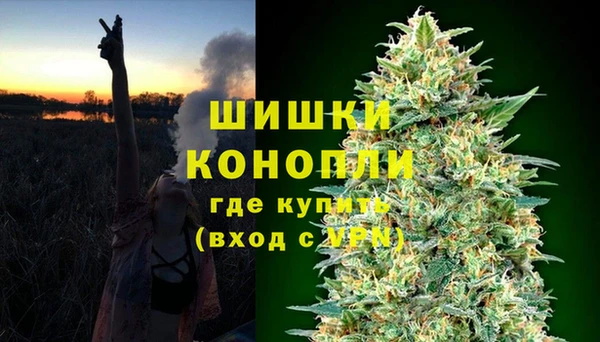 спайс Баксан