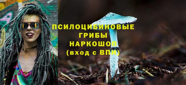 крисы Балахна