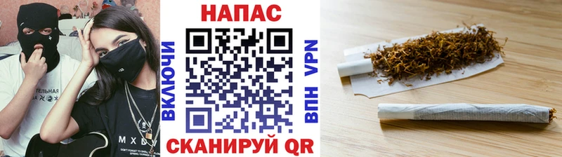 OMG маркетплейс  Теберда  МАРИХУАНА White Widow 
